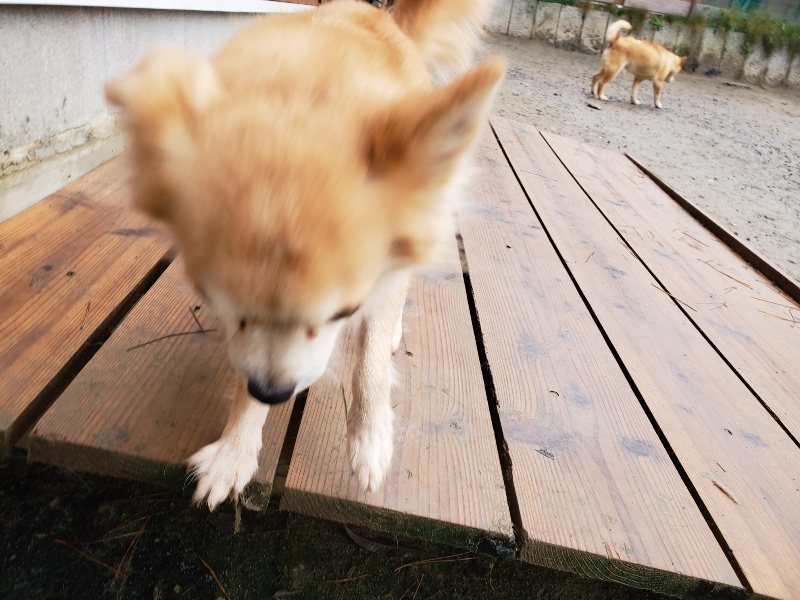 f:id:roukenhome-ann:20191223181025j:plain f:id:roukenhome-ann:20191223181025j:plain