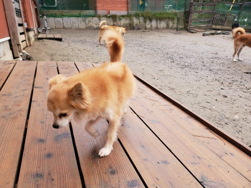 f:id:roukenhome-ann:20191223181032j:plain f:id:roukenhome-ann:20191223181032j:plain
