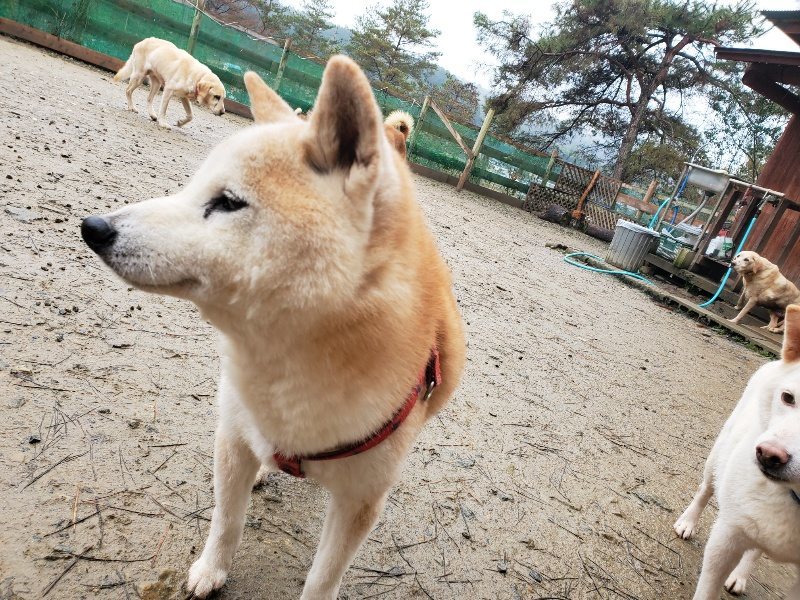 f:id:roukenhome-ann:20191223181043j:plain f:id:roukenhome-ann:20191223181043j:plain