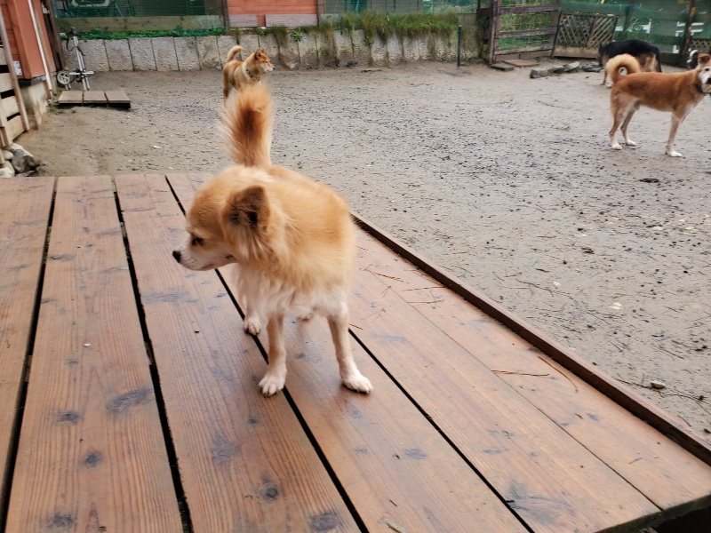 f:id:roukenhome-ann:20191223181101j:plain f:id:roukenhome-ann:20191223181101j:plain