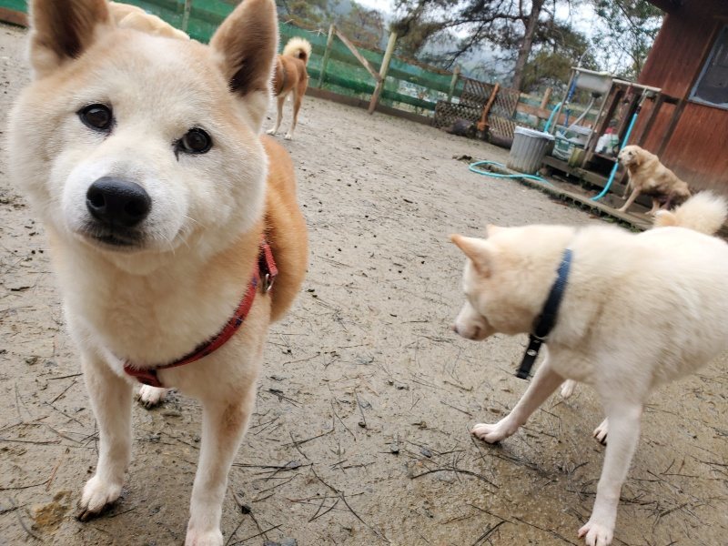 f:id:roukenhome-ann:20191223181106j:plain f:id:roukenhome-ann:20191223181106j:plain