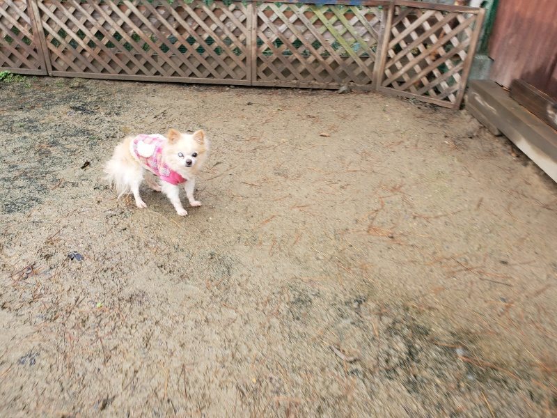 f:id:roukenhome-ann:20191223181147j:plain f:id:roukenhome-ann:20191223181147j:plain