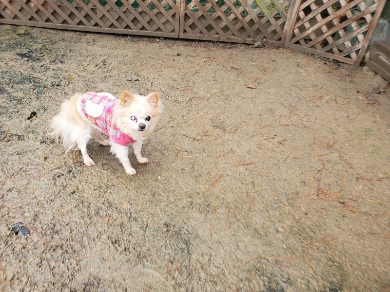 f:id:roukenhome-ann:20191223181156j:plain f:id:roukenhome-ann:20191223181156j:plain
