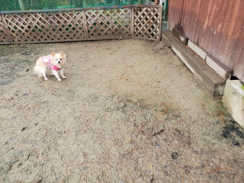 f:id:roukenhome-ann:20191223181204j:plain f:id:roukenhome-ann:20191223181204j:plain