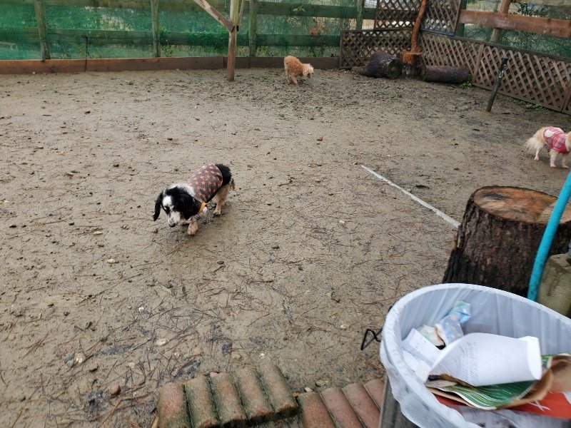 f:id:roukenhome-ann:20191223181236j:plain f:id:roukenhome-ann:20191223181236j:plain