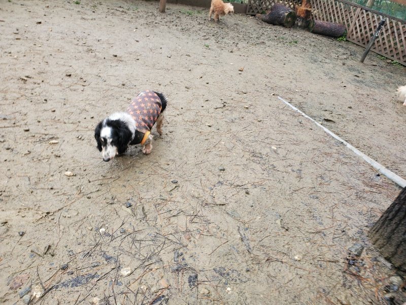 f:id:roukenhome-ann:20191223181250j:plain f:id:roukenhome-ann:20191223181250j:plain