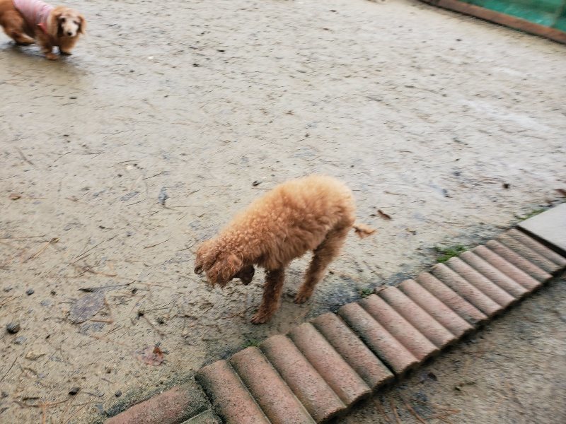 f:id:roukenhome-ann:20191223181346j:plain f:id:roukenhome-ann:20191223181346j:plain