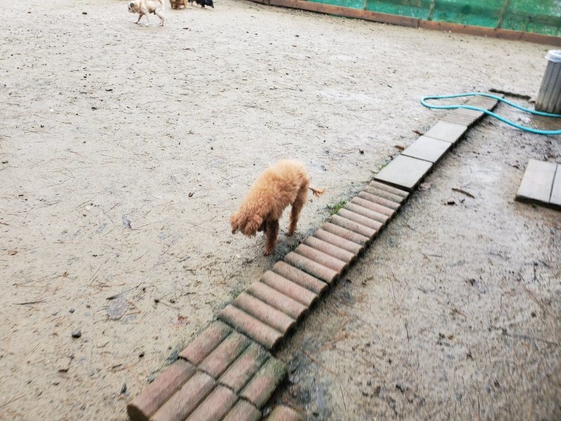 f:id:roukenhome-ann:20191223181353j:plain f:id:roukenhome-ann:20191223181353j:plain