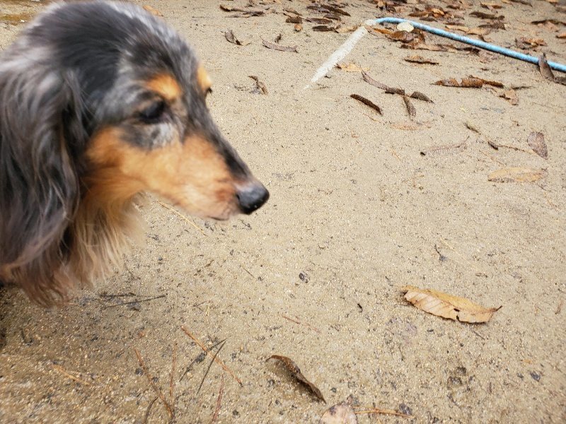 f:id:roukenhome-ann:20191223181402j:plain f:id:roukenhome-ann:20191223181402j:plain