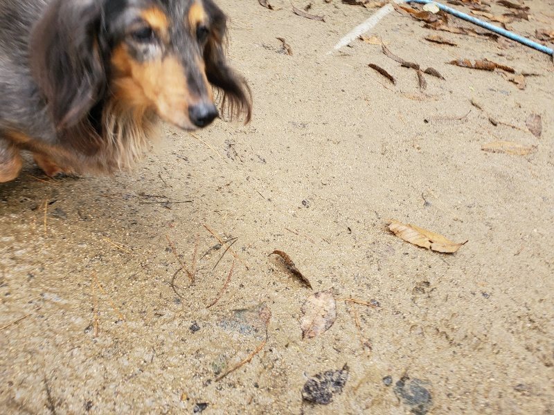 f:id:roukenhome-ann:20191223181419j:plain f:id:roukenhome-ann:20191223181419j:plain