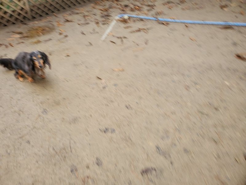 f:id:roukenhome-ann:20191223181425j:plain f:id:roukenhome-ann:20191223181425j:plain
