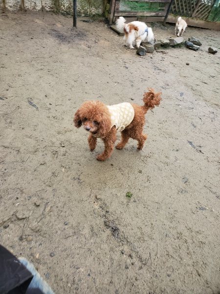 f:id:roukenhome-ann:20191223181736j:plain f:id:roukenhome-ann:20191223181736j:plain