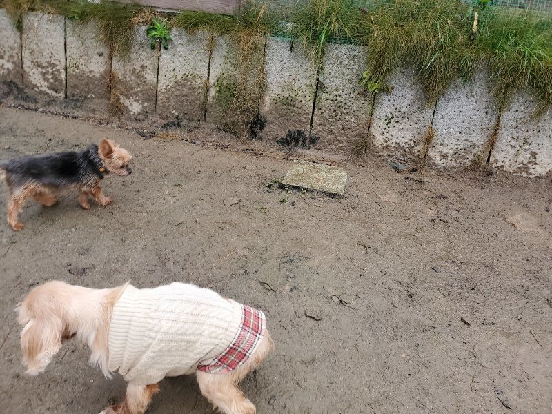 f:id:roukenhome-ann:20191223181746j:plain f:id:roukenhome-ann:20191223181746j:plain