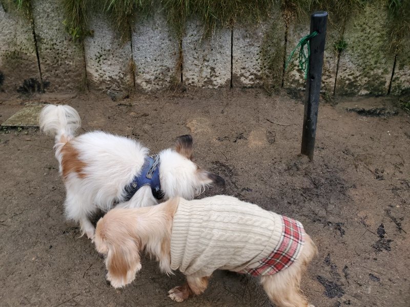 f:id:roukenhome-ann:20191223181753j:plain f:id:roukenhome-ann:20191223181753j:plain