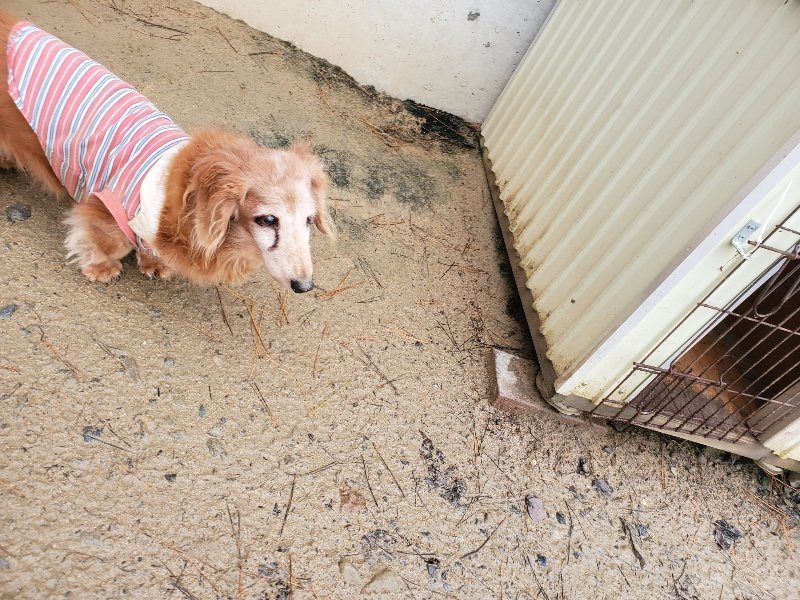f:id:roukenhome-ann:20191223181938j:plain f:id:roukenhome-ann:20191223181938j:plain