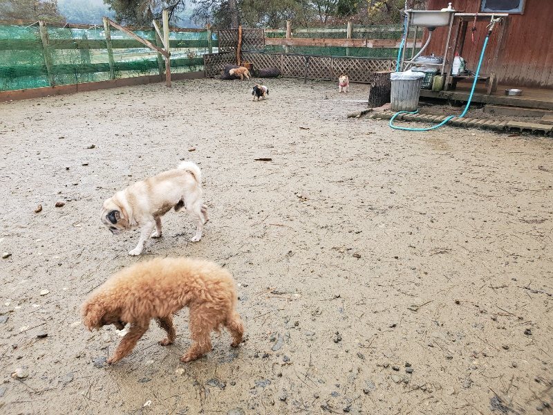 f:id:roukenhome-ann:20191223182007j:plain f:id:roukenhome-ann:20191223182007j:plain