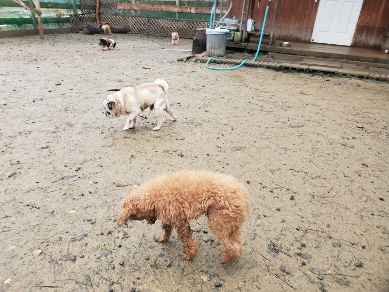 f:id:roukenhome-ann:20191223182020j:plain f:id:roukenhome-ann:20191223182020j:plain