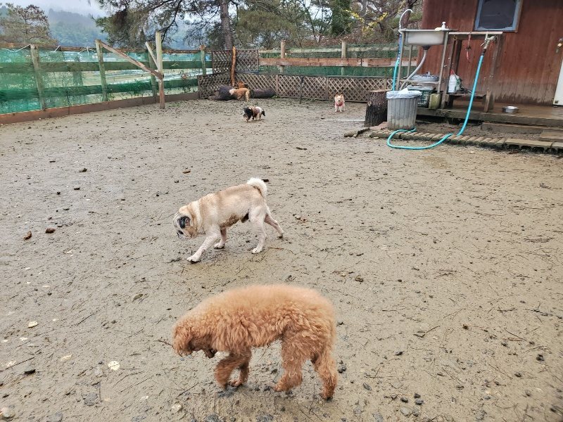 f:id:roukenhome-ann:20191223182029j:plain f:id:roukenhome-ann:20191223182029j:plain
