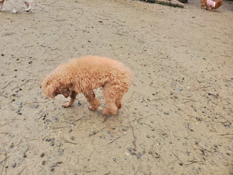 f:id:roukenhome-ann:20191223182104j:plain f:id:roukenhome-ann:20191223182104j:plain