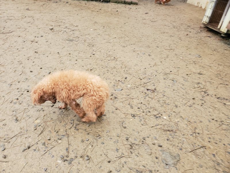 f:id:roukenhome-ann:20191223182123j:plain f:id:roukenhome-ann:20191223182123j:plain