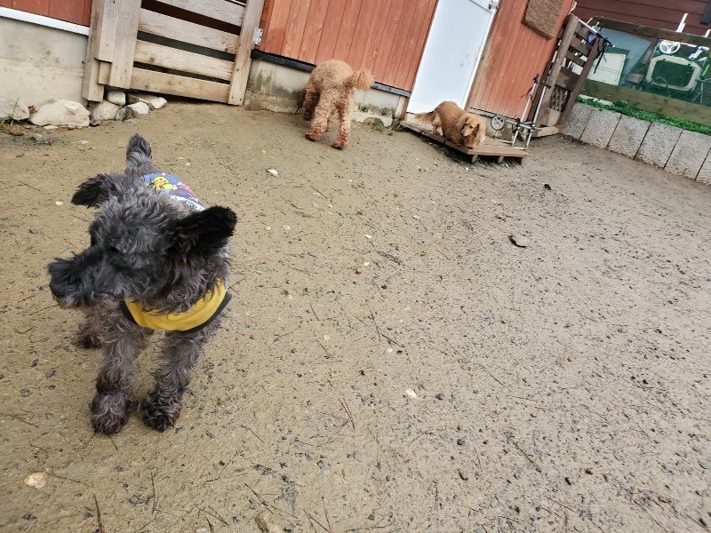 f:id:roukenhome-ann:20191223182132j:plain f:id:roukenhome-ann:20191223182132j:plain