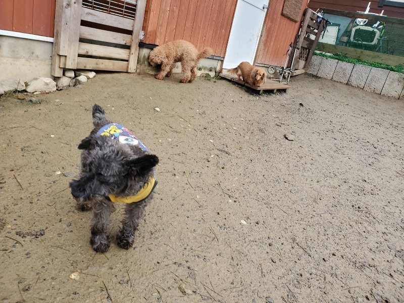 f:id:roukenhome-ann:20191223182152j:plain f:id:roukenhome-ann:20191223182152j:plain