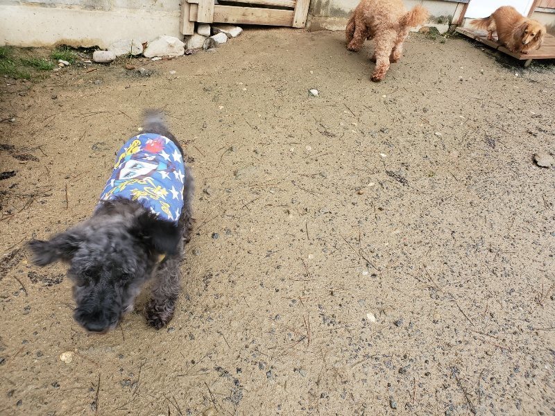 f:id:roukenhome-ann:20191223182211j:plain f:id:roukenhome-ann:20191223182211j:plain