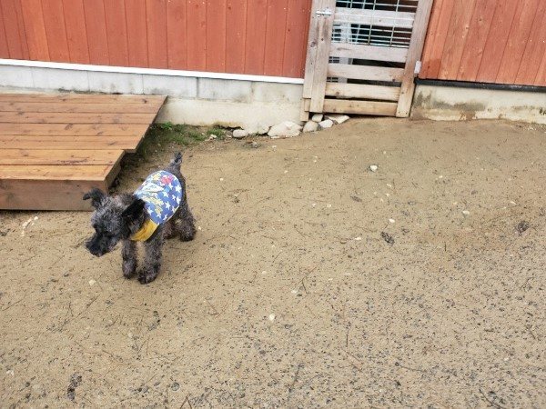f:id:roukenhome-ann:20191223182217j:plain f:id:roukenhome-ann:20191223182217j:plain