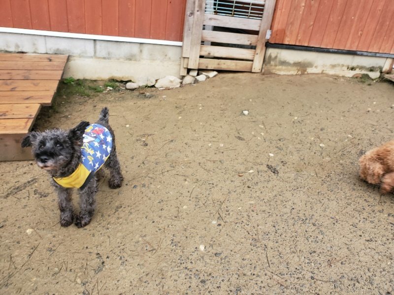f:id:roukenhome-ann:20191223182233j:plain f:id:roukenhome-ann:20191223182233j:plain