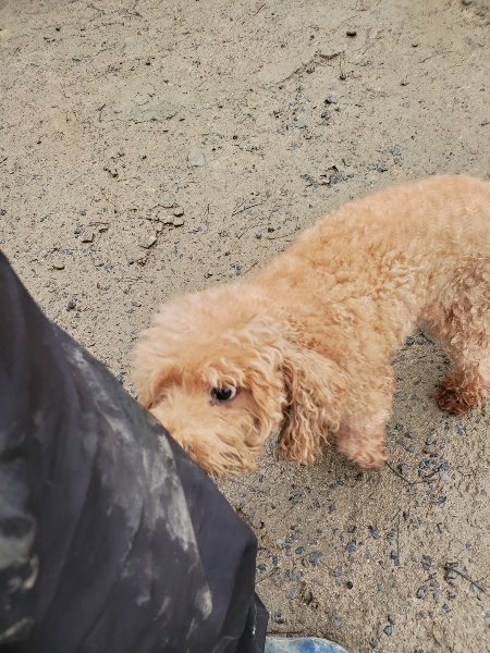 f:id:roukenhome-ann:20191223182238j:plain f:id:roukenhome-ann:20191223182238j:plain