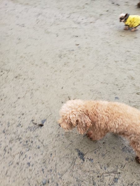 f:id:roukenhome-ann:20191223182254j:plain f:id:roukenhome-ann:20191223182254j:plain