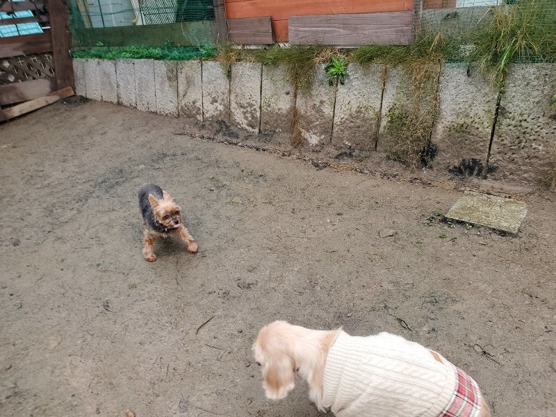 f:id:roukenhome-ann:20191223182303j:plain f:id:roukenhome-ann:20191223182303j:plain