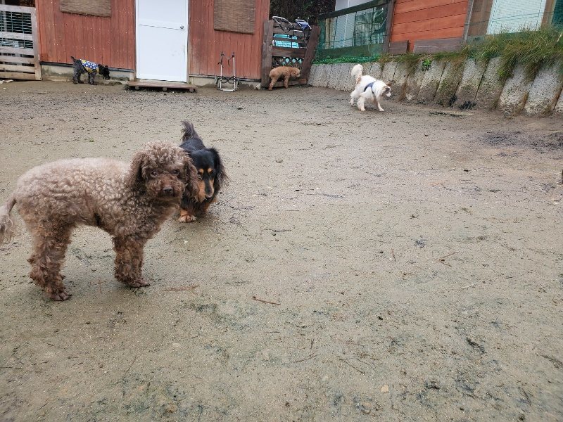 f:id:roukenhome-ann:20191223182412j:plain f:id:roukenhome-ann:20191223182412j:plain