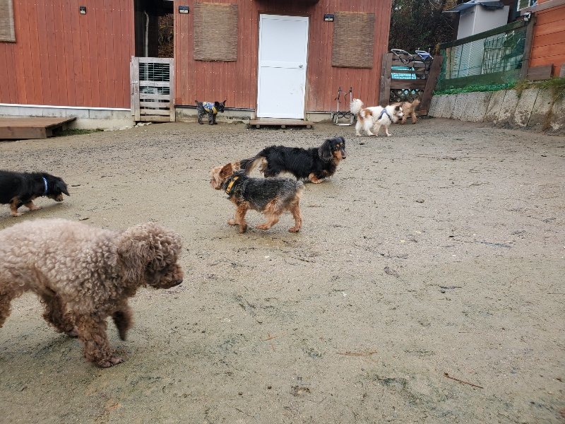 f:id:roukenhome-ann:20191223182422j:plain f:id:roukenhome-ann:20191223182422j:plain