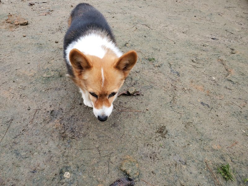 f:id:roukenhome-ann:20191223182430j:plain f:id:roukenhome-ann:20191223182430j:plain