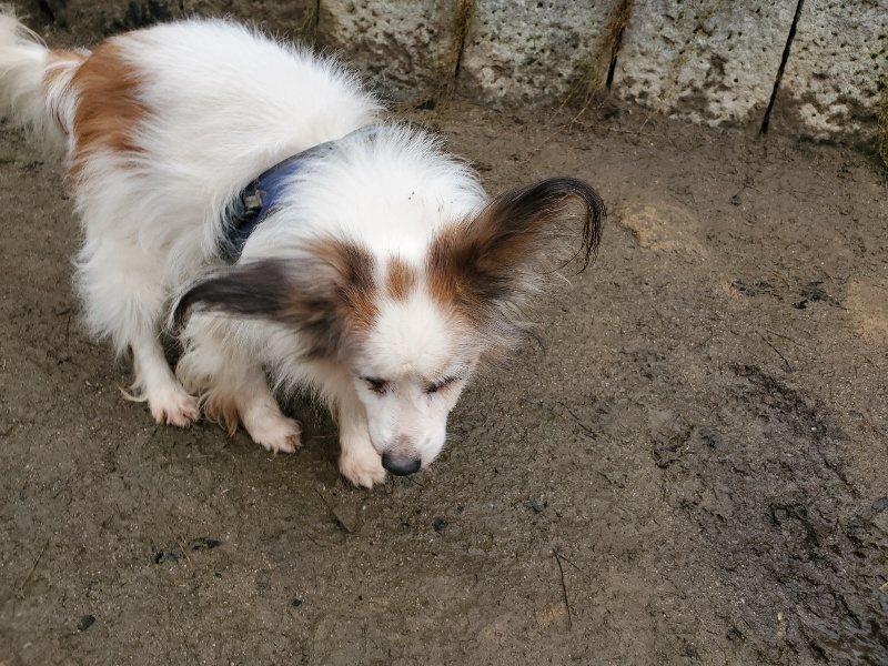f:id:roukenhome-ann:20191223182534j:plain f:id:roukenhome-ann:20191223182534j:plain
