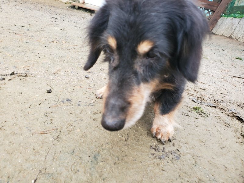 f:id:roukenhome-ann:20191223182549j:plain f:id:roukenhome-ann:20191223182549j:plain