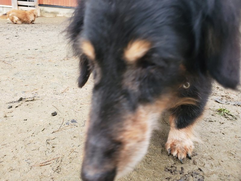 f:id:roukenhome-ann:20191223182556j:plain f:id:roukenhome-ann:20191223182556j:plain