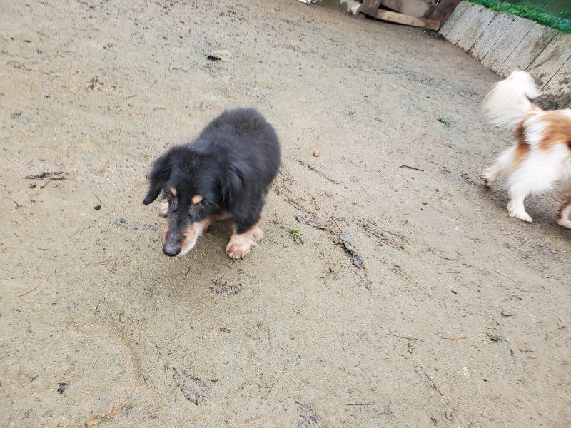 f:id:roukenhome-ann:20191223182611j:plain f:id:roukenhome-ann:20191223182611j:plain