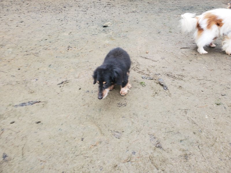 f:id:roukenhome-ann:20191223182658j:plain f:id:roukenhome-ann:20191223182658j:plain