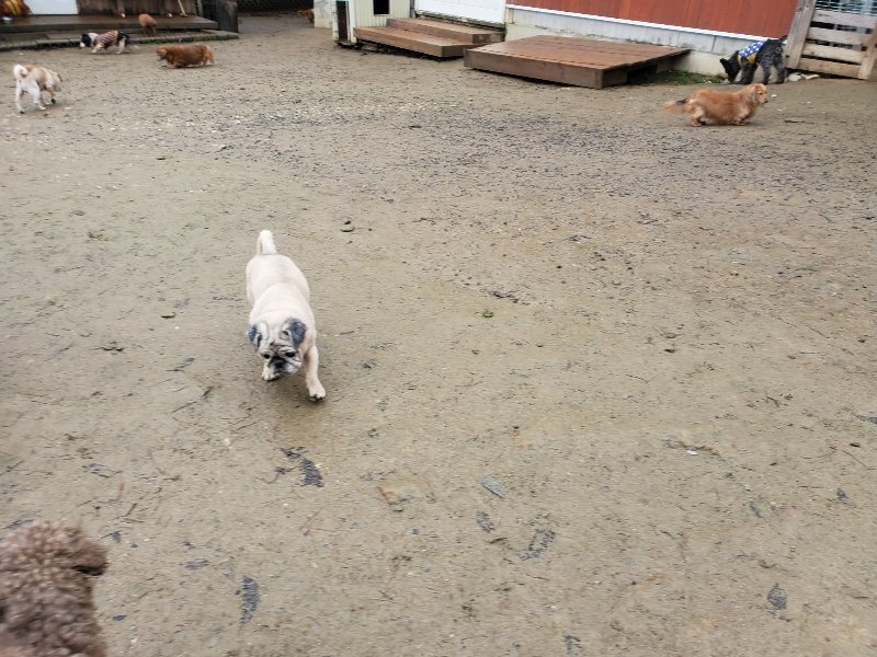 f:id:roukenhome-ann:20191223182730j:plain f:id:roukenhome-ann:20191223182730j:plain