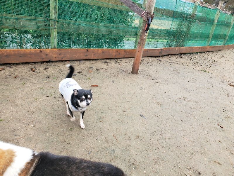 f:id:roukenhome-ann:20191223182828j:plain f:id:roukenhome-ann:20191223182828j:plain