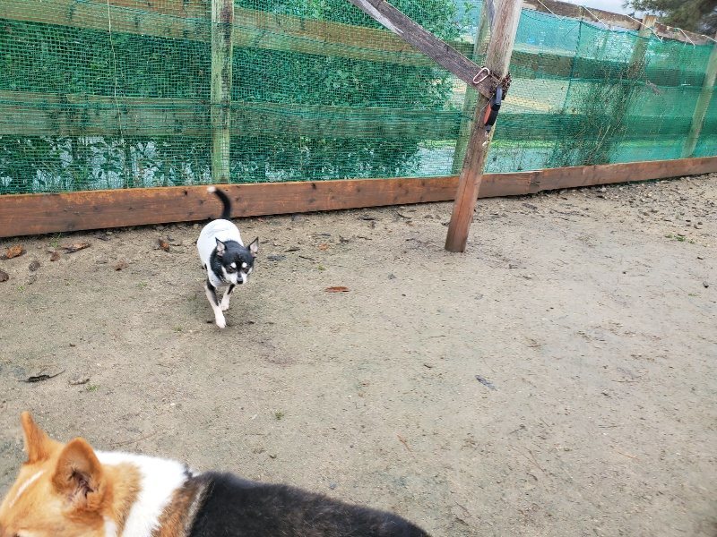 f:id:roukenhome-ann:20191223182848j:plain f:id:roukenhome-ann:20191223182848j:plain
