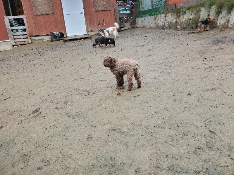 f:id:roukenhome-ann:20191223182922j:plain f:id:roukenhome-ann:20191223182922j:plain