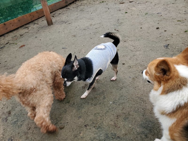 f:id:roukenhome-ann:20191223183009j:plain f:id:roukenhome-ann:20191223183009j:plain
