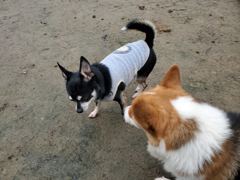 f:id:roukenhome-ann:20191223183015j:plain f:id:roukenhome-ann:20191223183015j:plain