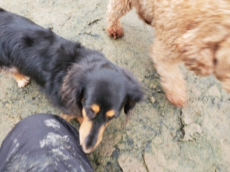 f:id:roukenhome-ann:20191223183053j:plain f:id:roukenhome-ann:20191223183053j:plain