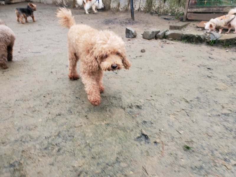 f:id:roukenhome-ann:20191223183105j:plain f:id:roukenhome-ann:20191223183105j:plain
