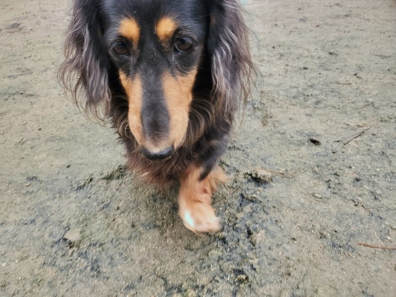 f:id:roukenhome-ann:20191223183123j:plain f:id:roukenhome-ann:20191223183123j:plain