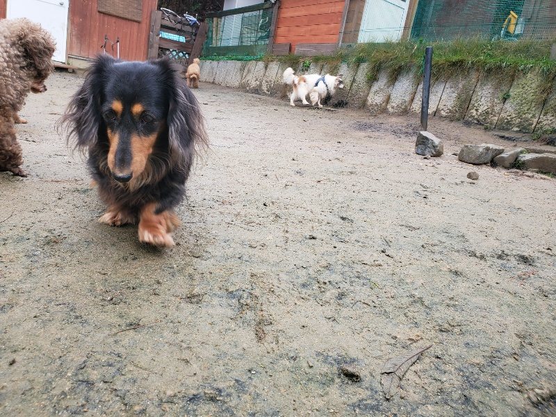 f:id:roukenhome-ann:20191223183139j:plain f:id:roukenhome-ann:20191223183139j:plain